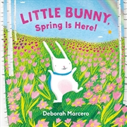 Buy Little Bunny, Spring Is Here!