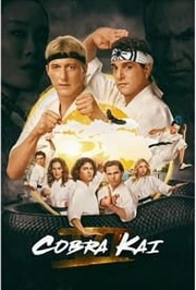 Buy Cobra Kai - Season 6