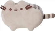 Buy Classic Pusheen Small