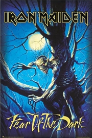 Buy Iron Maiden Fear Of The Dark Poster