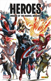 Buy Heroes Origins Of The Marvel Universe