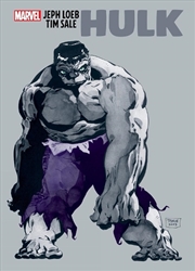 Buy Jeph Loeb & Tim Sale Hulk Gallery Ed