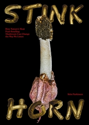 Buy Stinkhorn