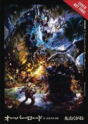 Buy Overlord Vol 11 Light Novel