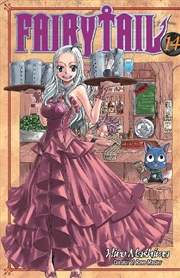 Buy Fairy Tail 14