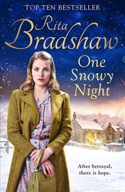 Buy One Snowy Night