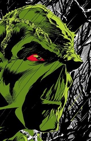 Buy Absolute Swamp Thing By Len Wein & Berni