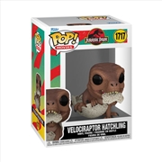 Buy Jurassic Park - Velociraptor Hatchling Pop! Vinyl