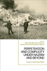 Buy Perpetration and Complicity under Nazism and Beyond: Compromised Identities?