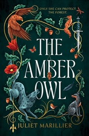 Buy The Amber Owl