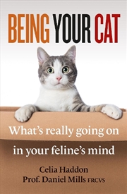 Buy Being Your Cat