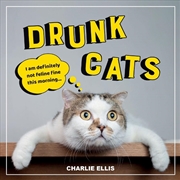 Buy Drunk Cats