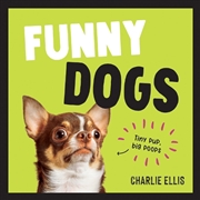 Buy Funny Dogs