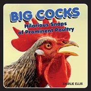 Buy Big Cocks