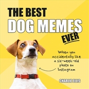 Buy The Best Dog Memes Ever