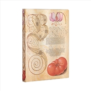 Buy Lily & Tomato (Mira Botanica) Midi Lined Journal