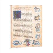 Buy Astronomica Lined Softcover Flexi Journal