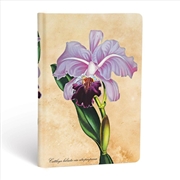 Buy Brazilian Orchid Mini Lined Hardcover Journal