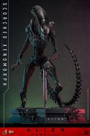 Buy Alien: Romulus - Scorched Xenomorph 1:6 Scale Collectable Action Figure