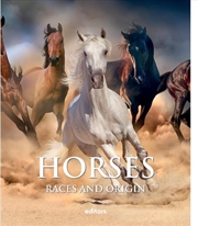 Buy Horses: Breeds and Origins