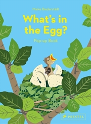 Buy What's in the Egg?: Pop-Up Book