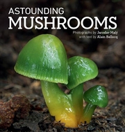 Buy Astounding Mushrooms