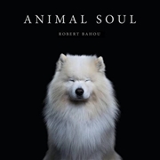 Buy Animal Soul