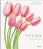 Buy Tulips