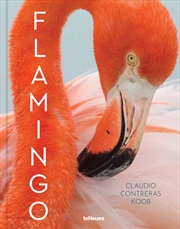 Buy Flamingo