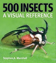 Buy 500 Insects: A Visual Reference