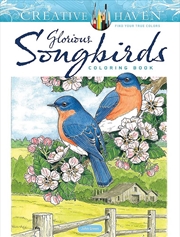 Buy Creative Haven Glorious Songbirds Coloring Book