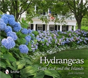 Buy Hydrangeas: Cape Cod and the Islands