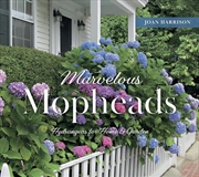 Buy Marvelous Mopheads: Hydrangeas for Home & Garden