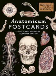 Buy Anatomicum Postcard Box