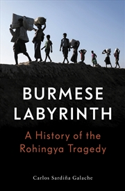 Buy The Burmese Labyrinth