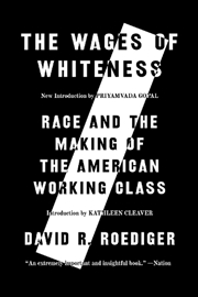 Buy Wages Of Whiteness: Race And The Making Of The American Working Class