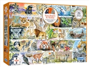 Buy Sun Bears & Sloths 1000Pc