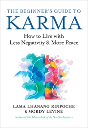 Buy The Beginner's Guide to Karma