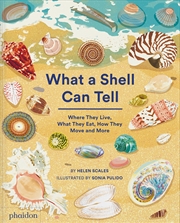 Buy What A Shell Can Tell