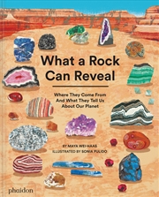 Buy What A Rock Can Reveal