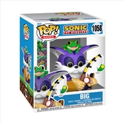 Buy Sonic - Big the Cat w/Froggy 6" Pop!