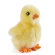 Buy Yellow Fluffy Chicks