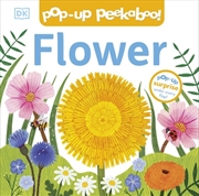 Buy Pop-Up Peekaboo! Flower