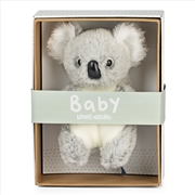 Buy Baby Koala