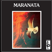 Buy Maranta