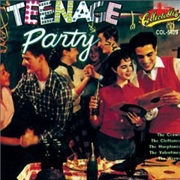 Buy Teenage Party: 1950s