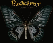 Buy Black Butterfly