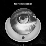 Buy Incubation