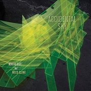 Buy Accidental Sky