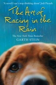 Buy Art Of Racing In The Rain